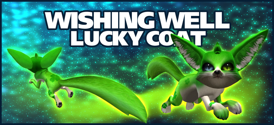wishing_well_lucky_coat2