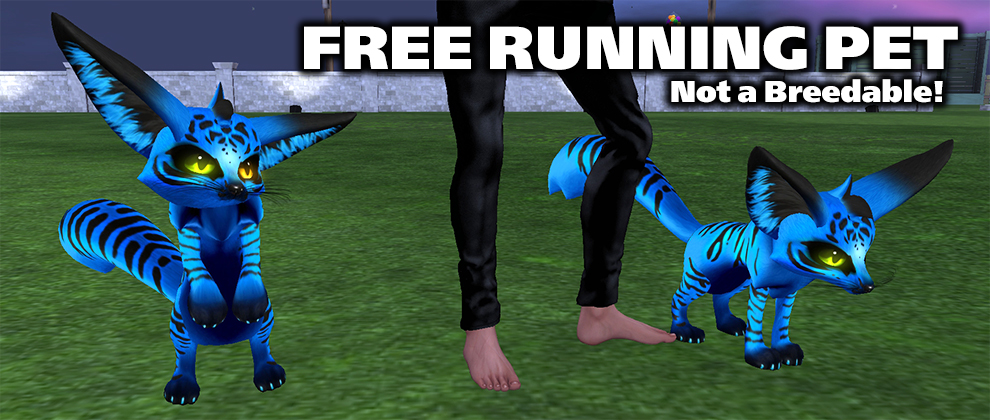 free-running-pet