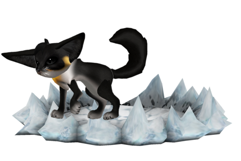 5357fac3d0f47