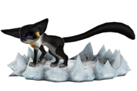 5398e3c07e75f