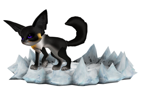 53ff7ecba0b7f