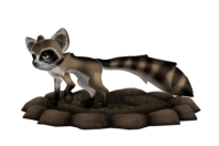 569cfd6610c32