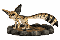 6a7c764c316da