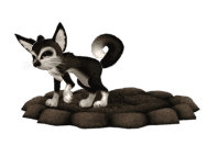 6a81879c535f4
