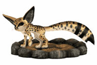 6a830dfd46e2c